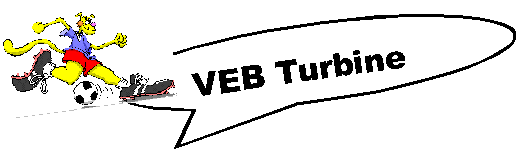 VEB Logo
